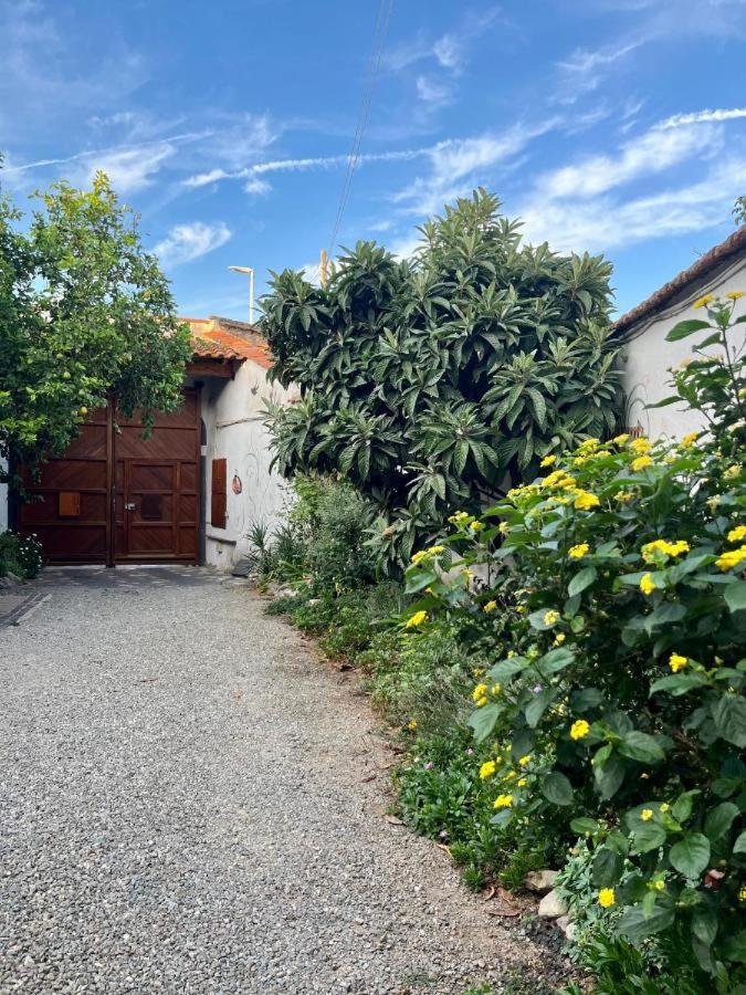 Apartamento Casa Di Rosy San Sperate Exterior foto